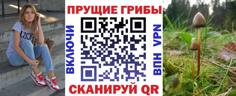 Галлюциногенные грибы Psilocybe  даркнет сайт  Емва 